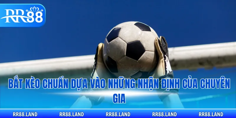 Bắt kèo chuẩn dựa vào những nhận định của chuyên gia