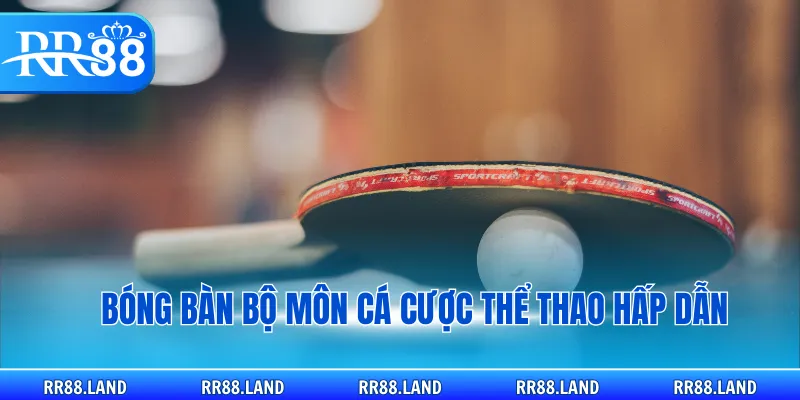 Bóng bàn bộ môn cá cược thể thao hấp dẫn