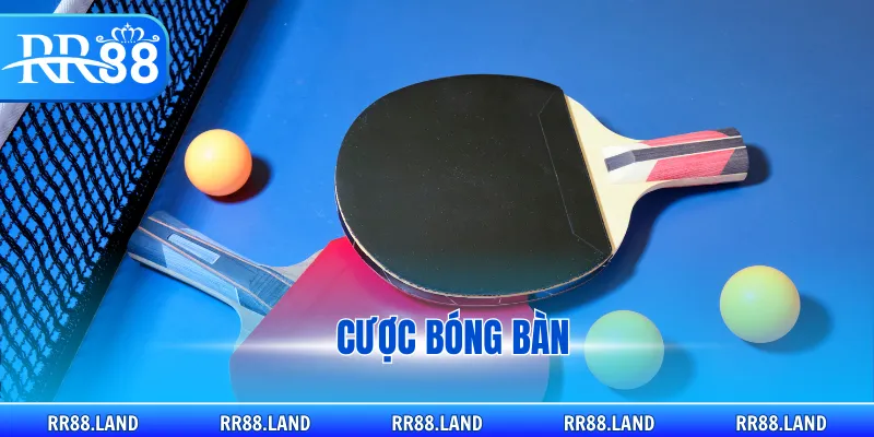 cược bóng bàn